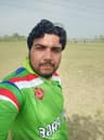 SAIF