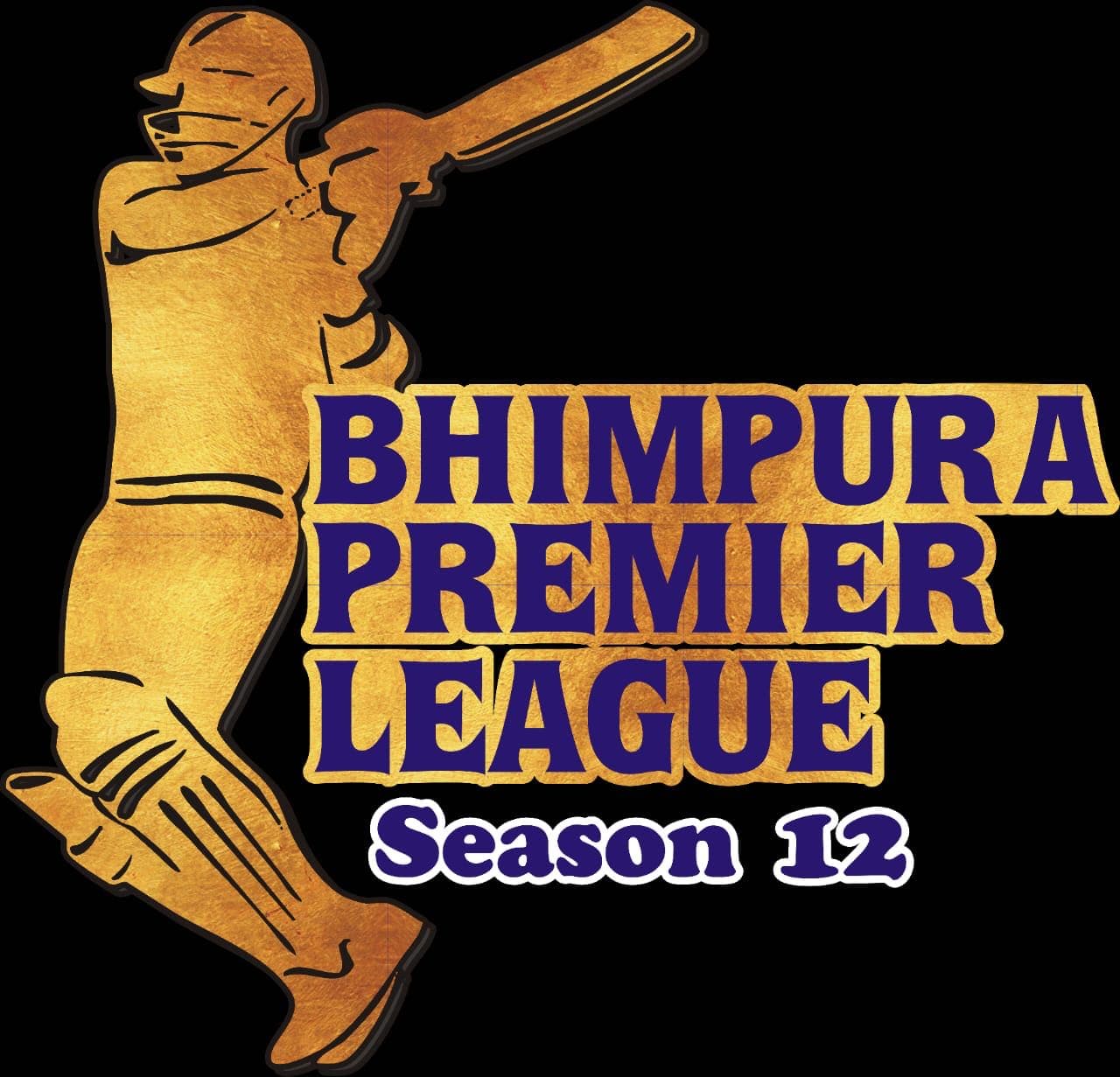 Bhimpura Premier League Season 12
