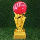 Team Freelancer Cricket Club T16 Series 01