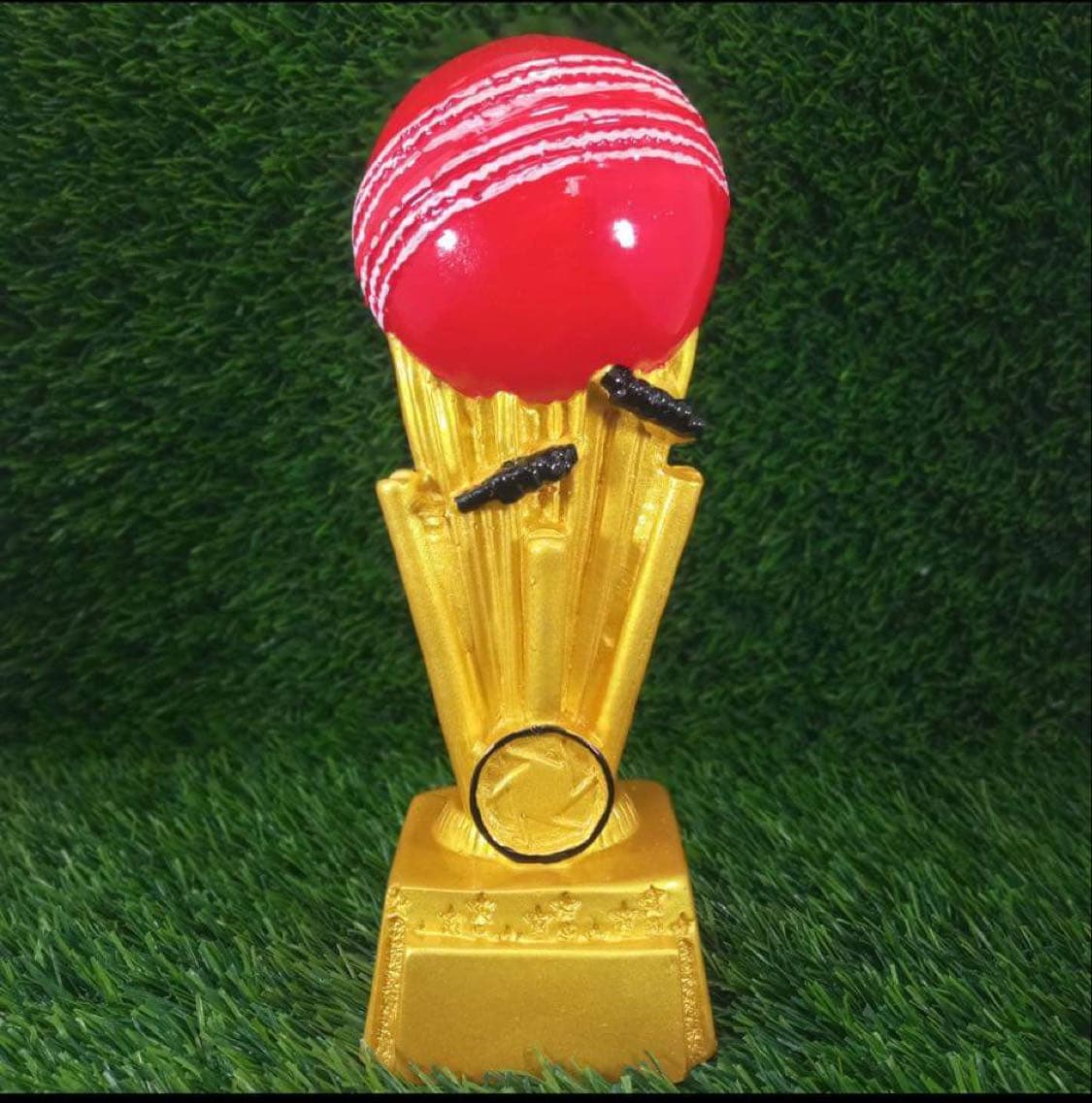 Team Freelancer Cricket Club T16 Series 01