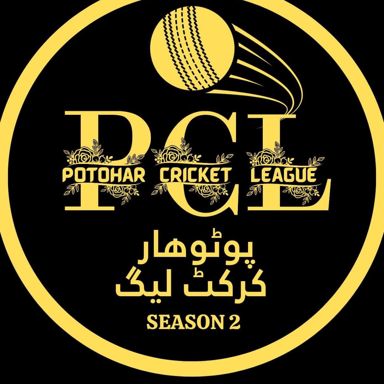 Potohar Cricket League Edition 2