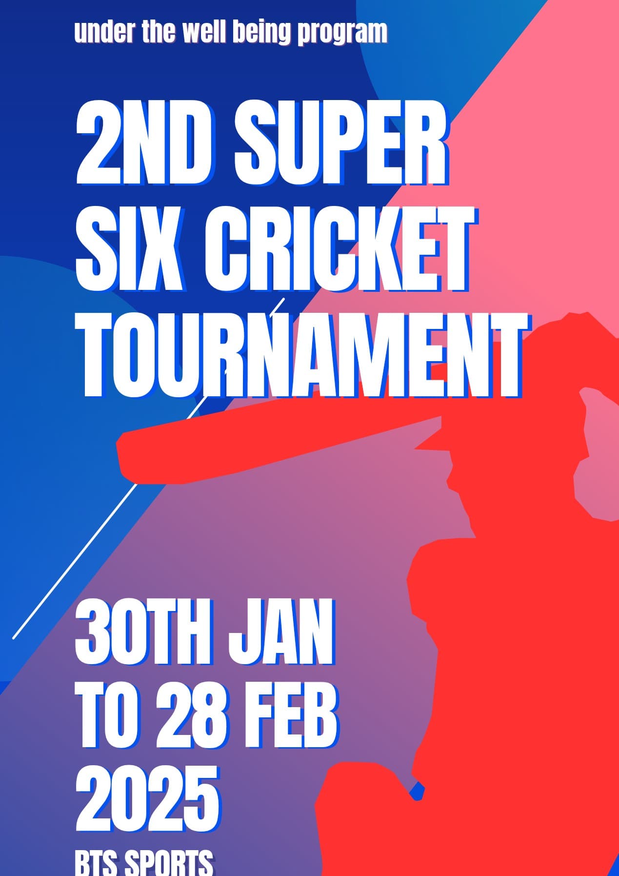 BTS SUPER SIX INDOOR CRICKET TOURNAMENT