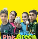 Momin Khan Cricket Academy &Sports Club