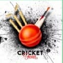Gujjar Singh Flood Light Tournament