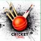 Gujjar Singh Flood Light Tournament