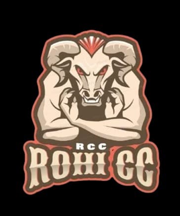 ROHI JUNIOR INTER ACADEMY CRICKET TOURMENT