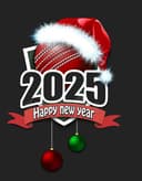 New Year Cricket Tournament