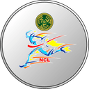Great City Nation's Cricket League