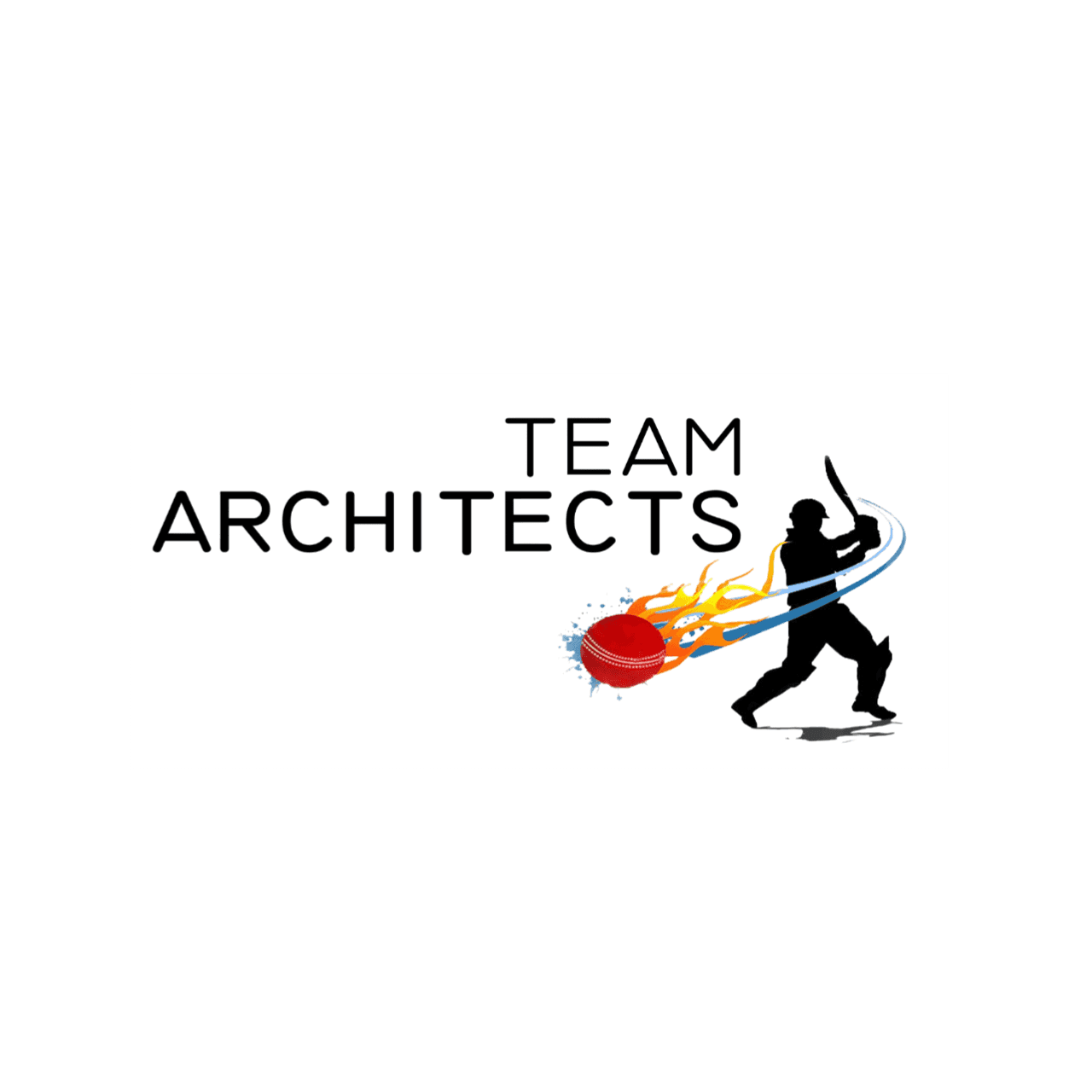 TEAM ARCHITECTS