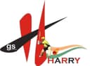GS Harry Cricket Academy
