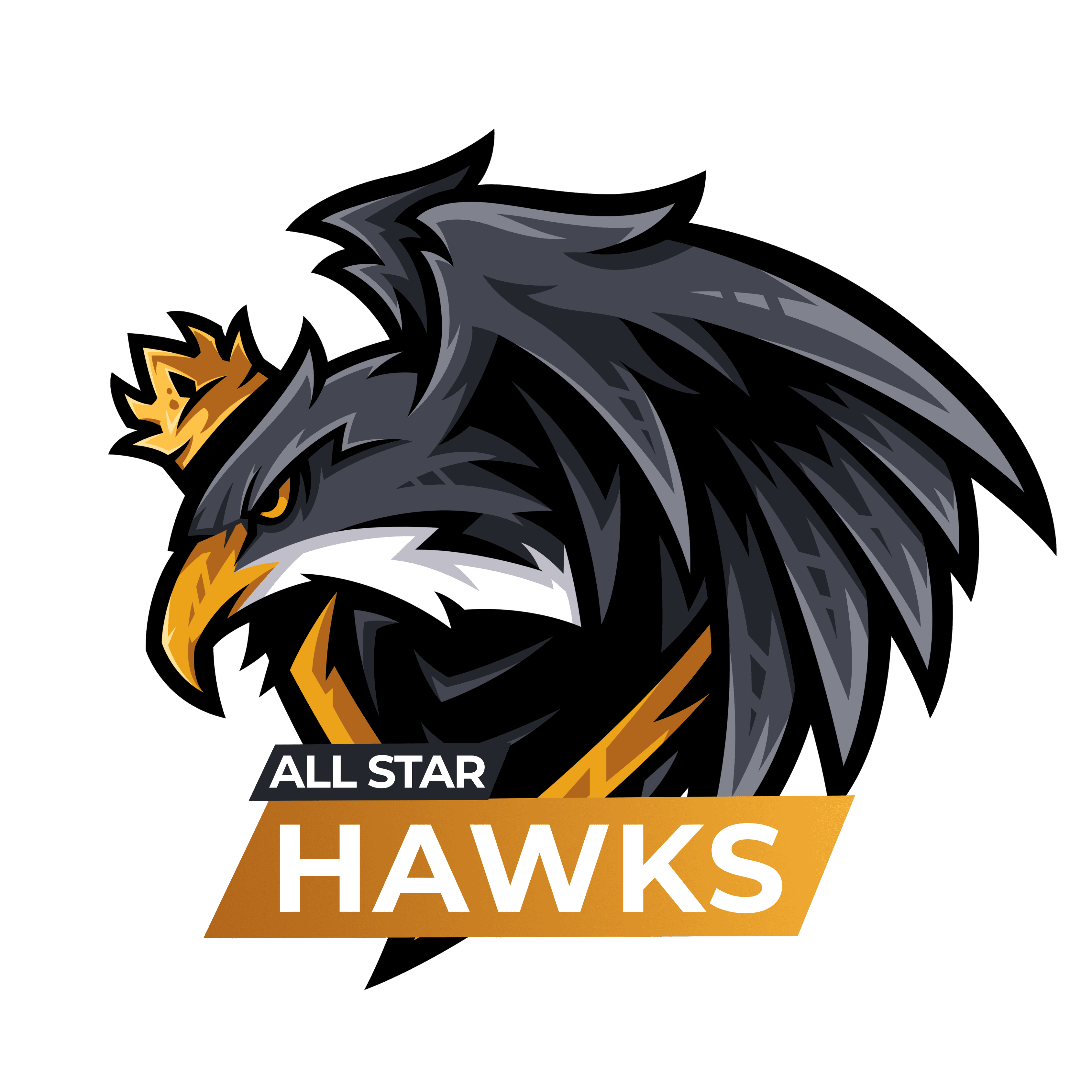 Allstar Hawks team logo