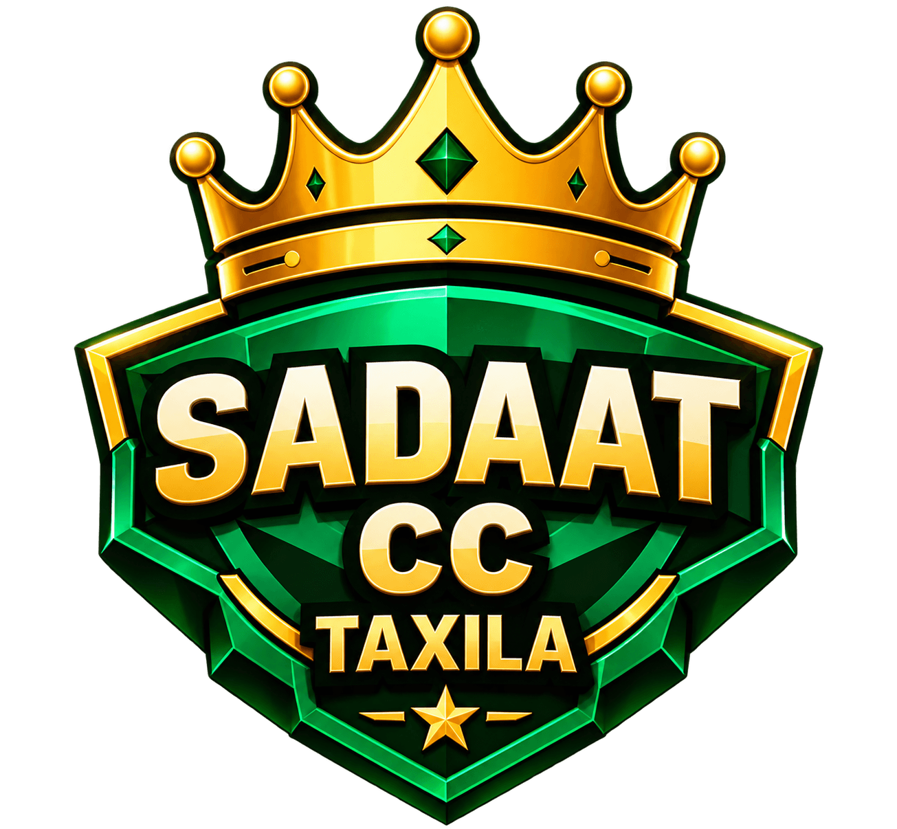 Sadaat Cricket Club team logo