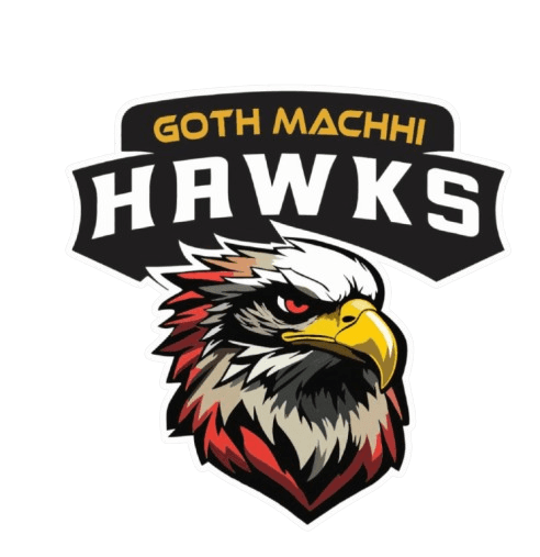 Shaban Gull team logo
