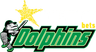 Hollywoodbets Dolphins Ladies