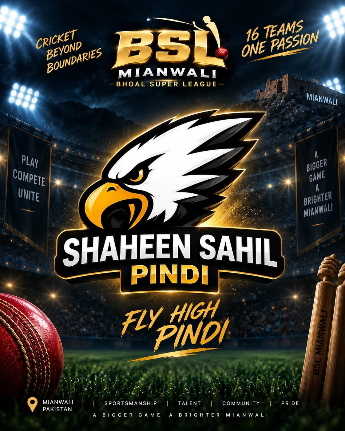 Shaheen Sahil Pindi team logo