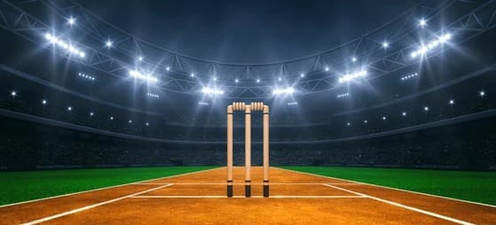 European Innova - Fusion Cricket