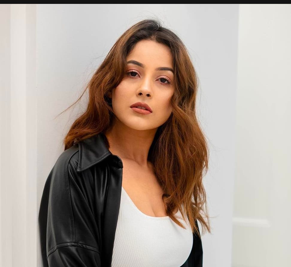 Shehnaz Gill