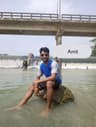 Amit