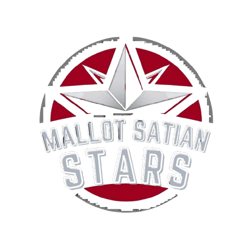 Mallot Satian Stars team logo