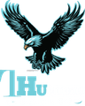 THUNDER EAGLES