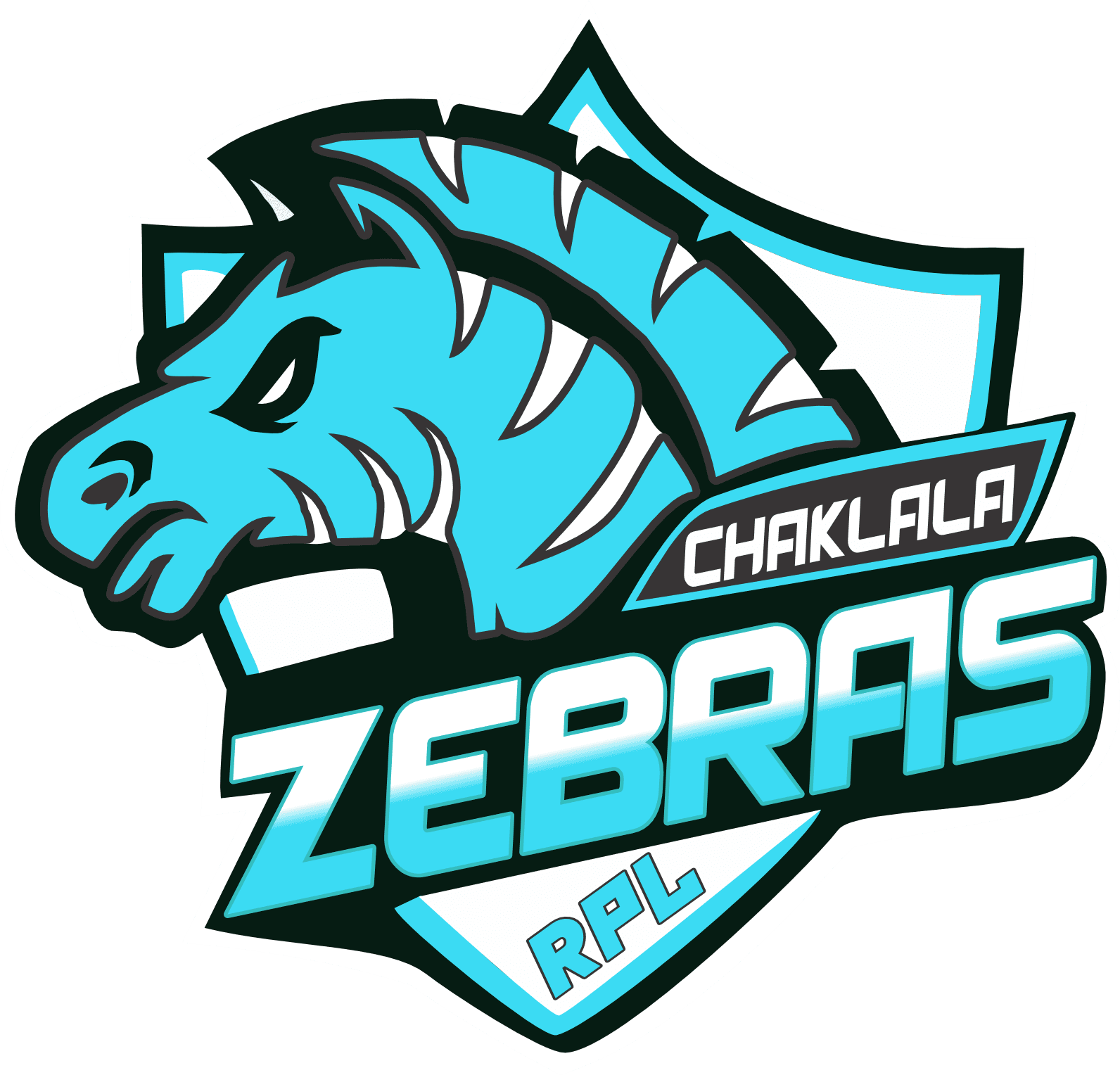 CHAKLALA ZEBRAS