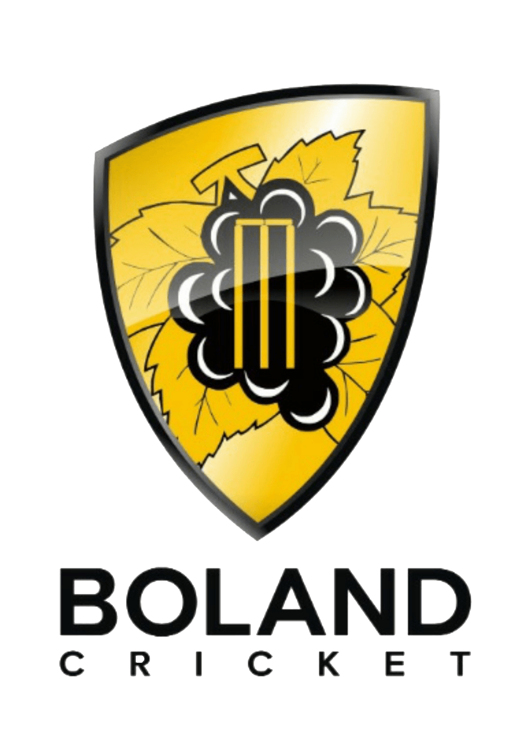 Dafabet Boland team logo