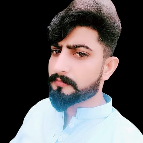 Afzaal Lefti cricket player profile photo