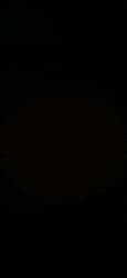 Testing 7 cricket player profile photo