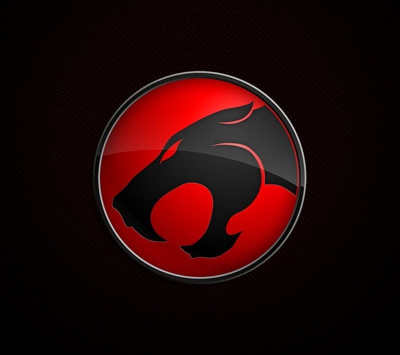 THUNDER CATS - B