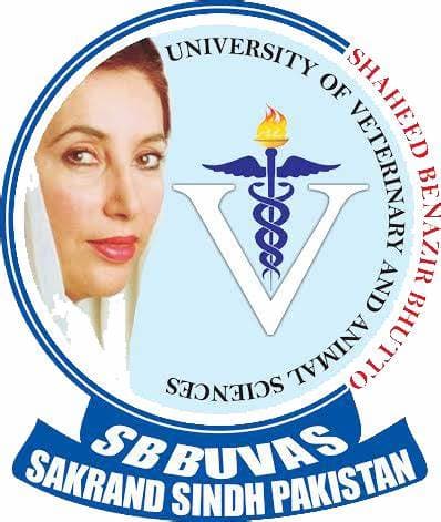 SBB UVAS Sakrand team logo