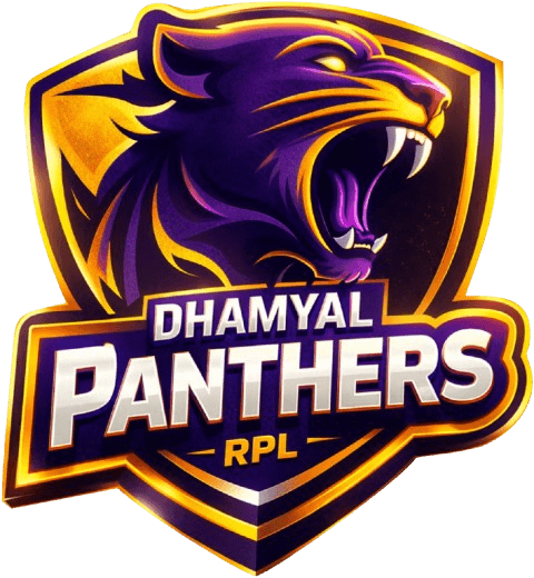 Dhamyal Panthers team logo