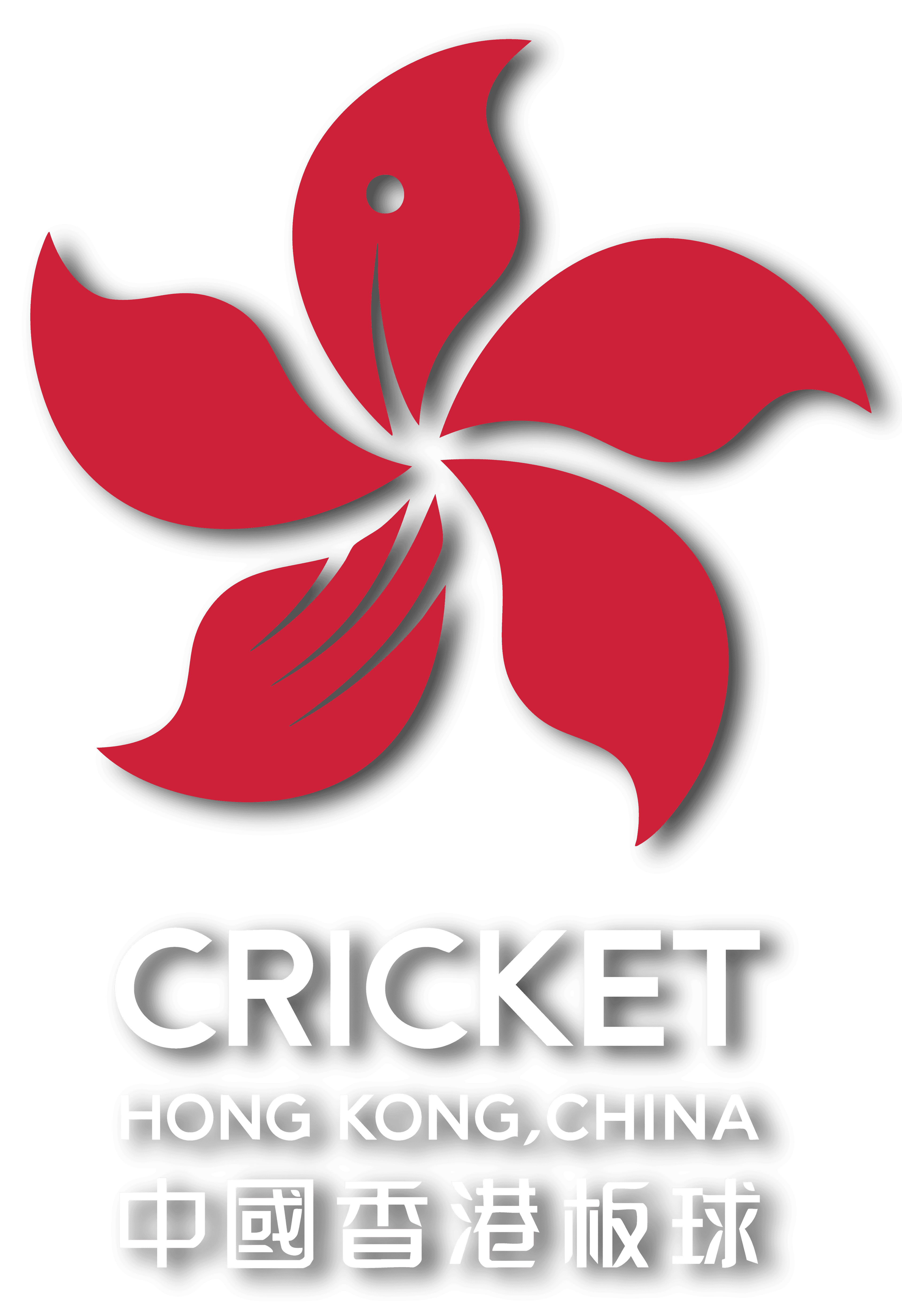 Hong Kong team logo