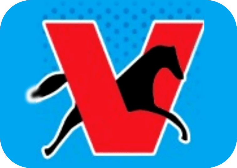 VAYUDOOT RACERS team logo