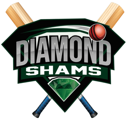 Diamond Shams team logo