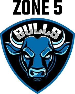 Bulls team logo