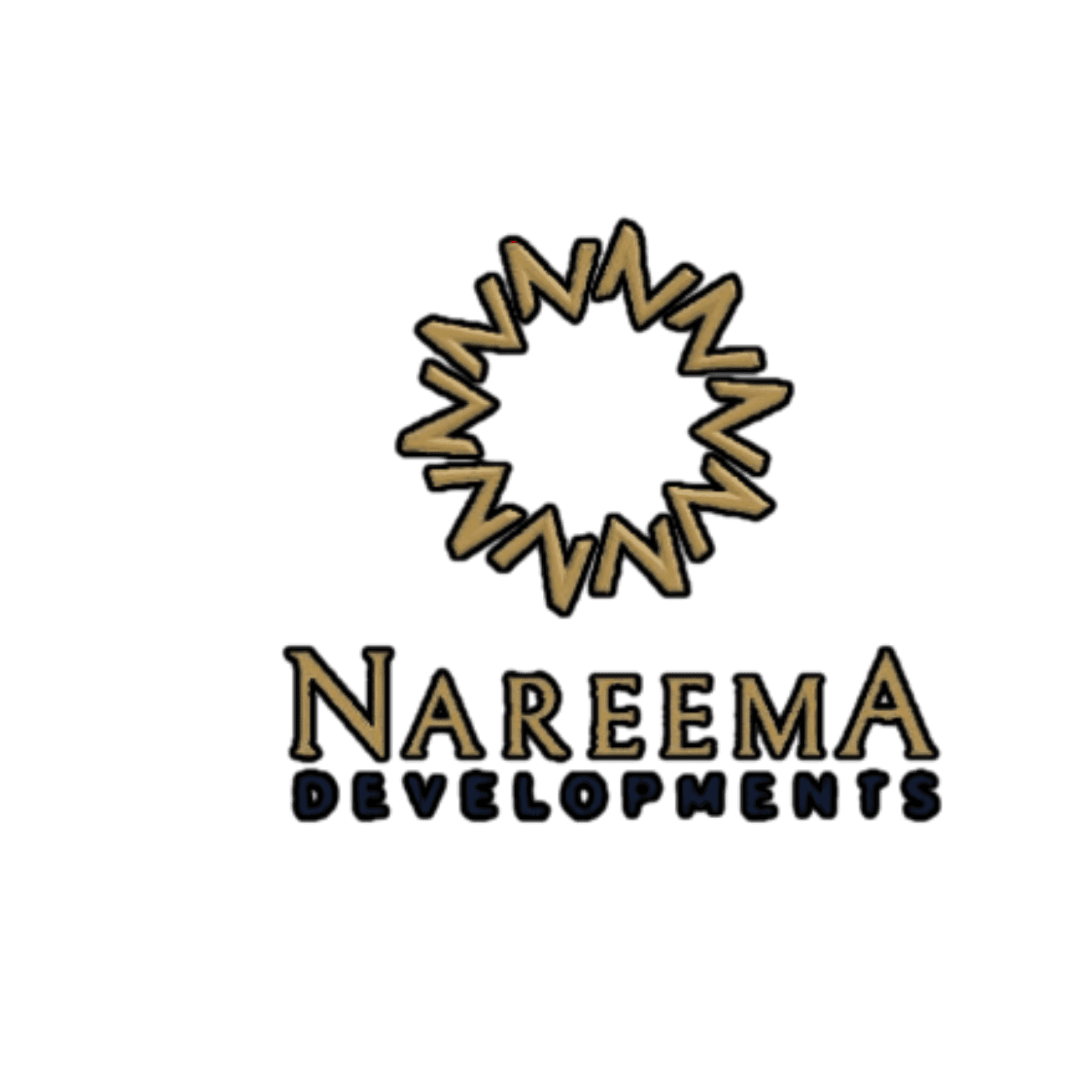 Nareema Developers team logo