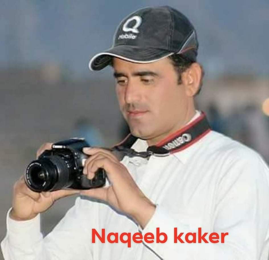 Naqib