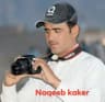 Naqib