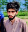 Awais Pomi