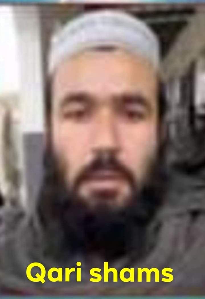 Q.Shams cricket player photo