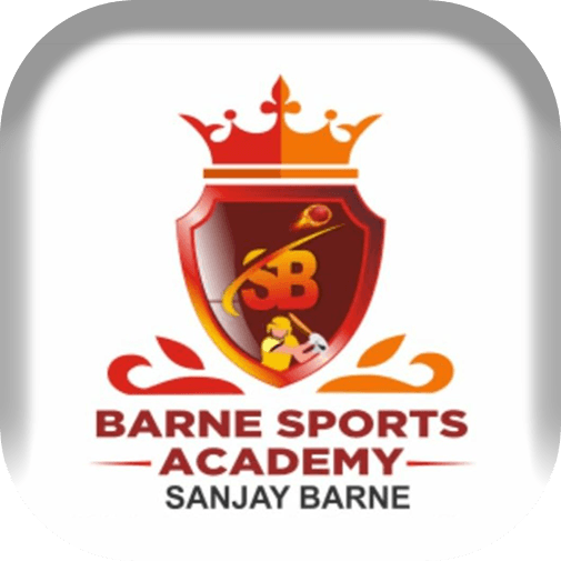 Barne Sports Academy team logo