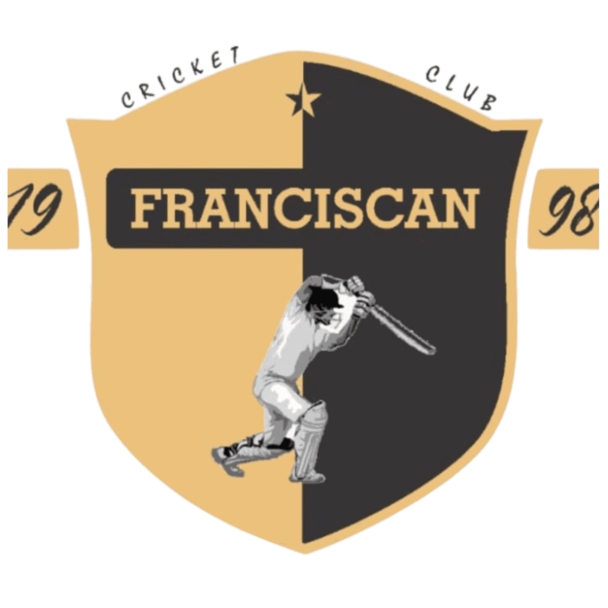 Fransisabad Tiger team logo