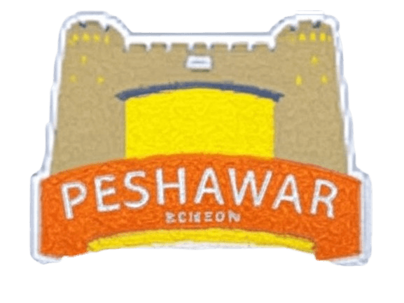 MICA Peshawar team logo