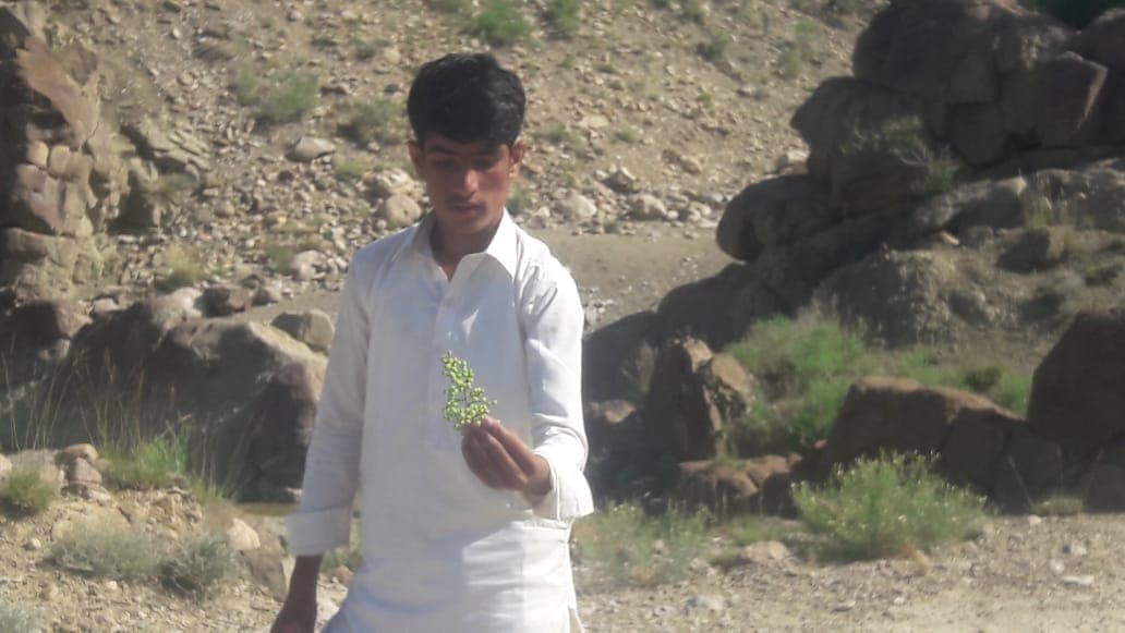 M_Umar
