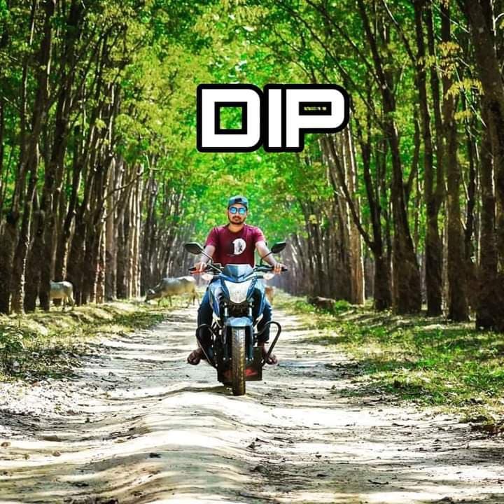 Dip