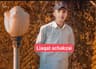 liaqat
