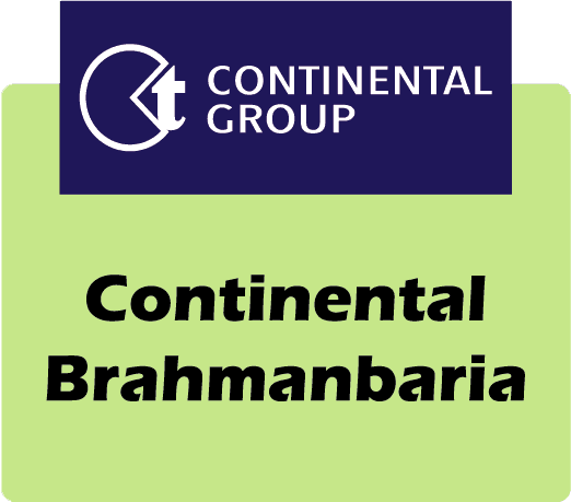 Brahmanbaria team logo