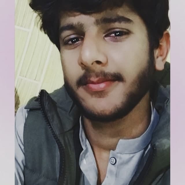 Ali Naqi cricket player profile photo