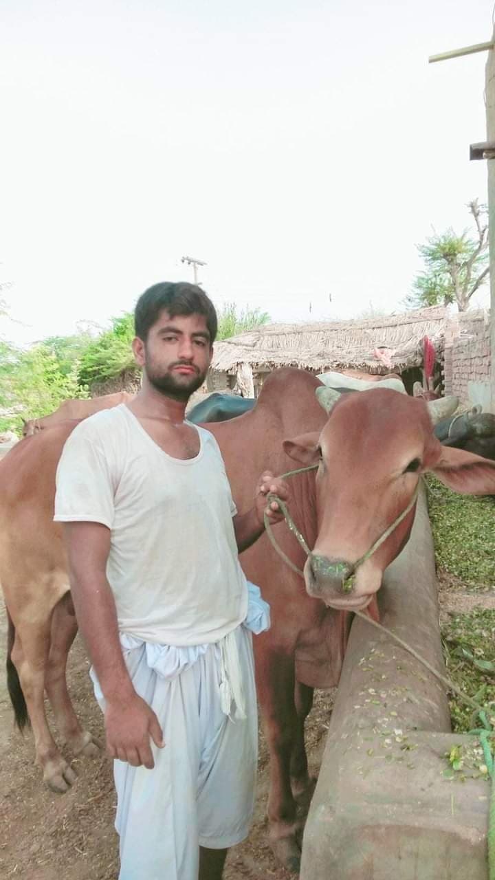 Quaid Raza cricket player profile photo
