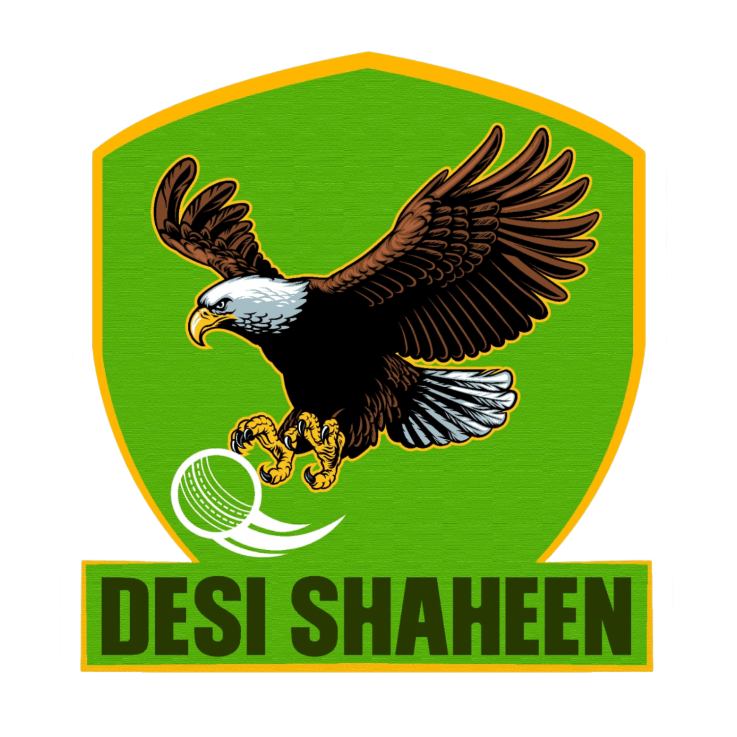 DESI SHAHEEN team logo